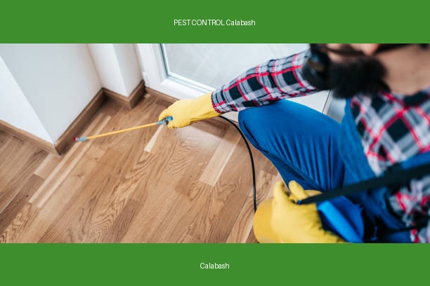 PEST CONTROL Calabash